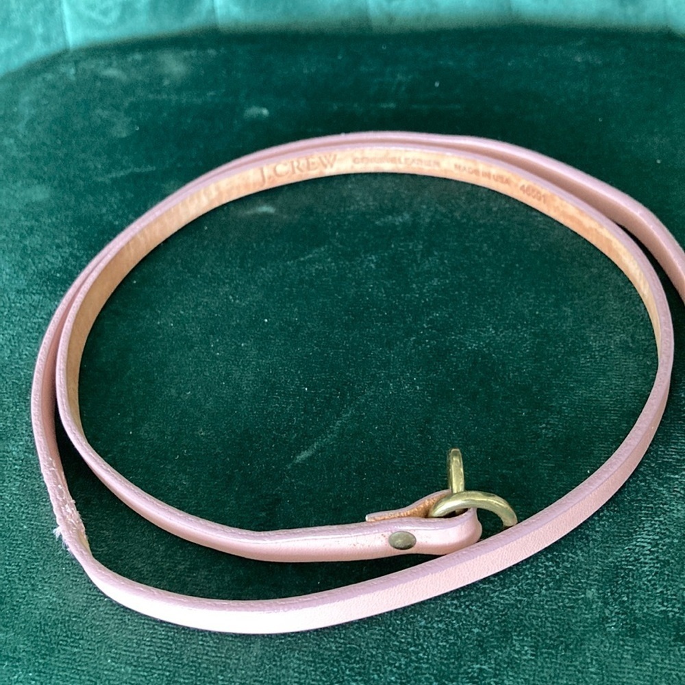 J. Crew Pink Belt Elegant Accessory